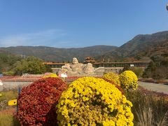 -北京十三陵国家森林公园蟒山景区