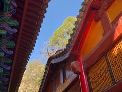 -圆通禅寺