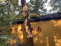 -灵谷景区