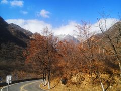 -灵山