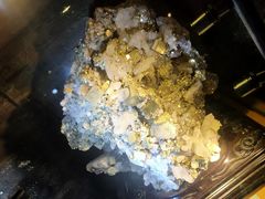 -陕西自然博物馆