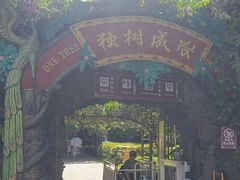 -瑞丽独树成林风景区