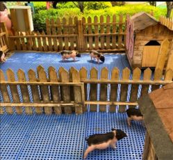 -萌宠亲子动物乐园(槐房万达店)