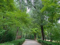 -廊坊市自然公园