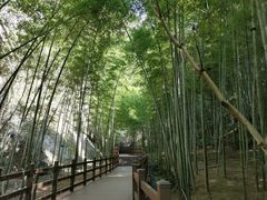 -崀山风景名胜区