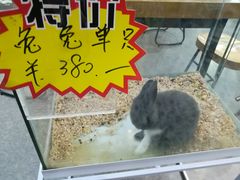 -仲盛世界商城