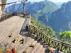 -重庆云阳龙缸景区