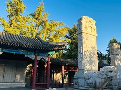 -北京石刻艺术博物馆(五塔寺)