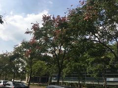 -东华大学(松江校区)