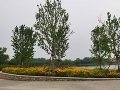 -东郊湿地公园