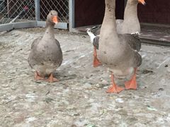 -北京宽沟会议中心