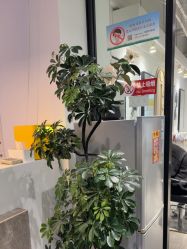 -LJOY丽锦造型·烫发染发