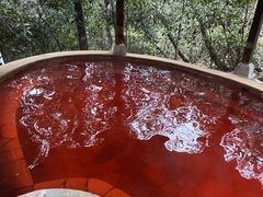 -天目湖涵田半山温泉