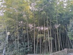 -善卷洞风景区