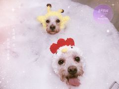 -Oh My Dog宠物沙龙(伊珊娜皮毛护理店)