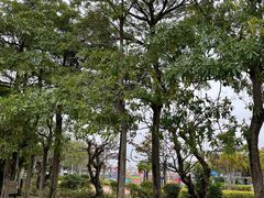 -中澳友谊花园