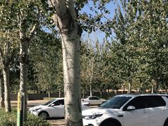 -辛玛王国游乐园