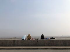 -芦潮港集贸市场