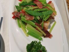 -云中小雅