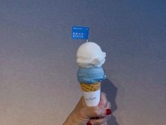 -Dal Cuore 达可芮冰淇淋(陕西北路店)