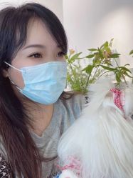 -Verywang半永久纹眉•仪器野生眉