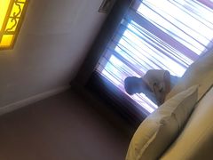 -固元堂(摩方分院)