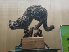 -陕西自然博物馆