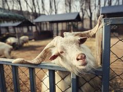 -沈阳森林动物园