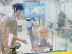 -乐琪宠物(青塔西路店)