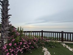 -广鹿岛