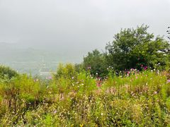 -潭柘厚院(桑峪村店)