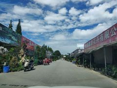 -金科花卉市场
