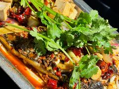 -重庆火锅水库鱼庄(南油店)