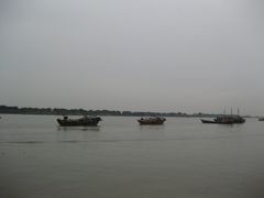-大湾区中央湿地公园-十九涌