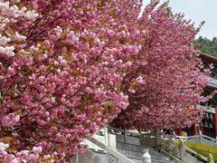 -石岛赤山风景区