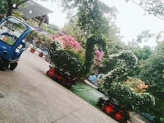 -东莞香市动物园