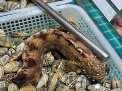 -旺角小渔村(二马路店)