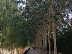 -党河风情线国家水利风景区