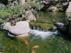 -罗红摄影艺术馆