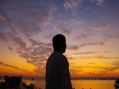 -宝安西湾红树林湿地公园