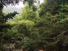 -藏龙百瀑风景区