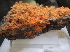 -湖南省地质博物馆