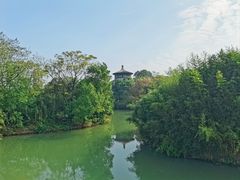 -八大山人梅湖景区