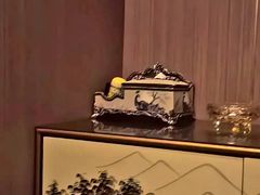-陆琴脚艺·足浴·SPA(夫子庙店)