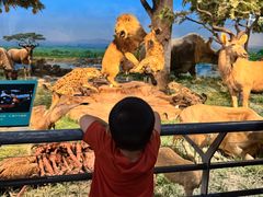 -国家自然博物馆