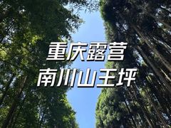 -山王坪喀斯特国家生态公园