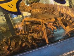 -海铺·渔家虾水饺(皇姑店)