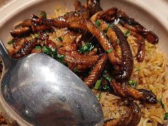 -侨美·唐荔园·40年地道粤菜