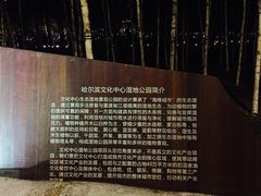 -哈尔滨大剧院