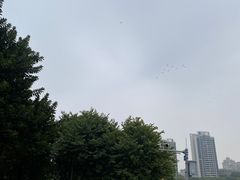 -广东花都湖国家湿地公园